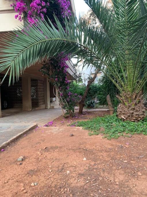 Varkiza Lux Apartment מראה חיצוני תמונה